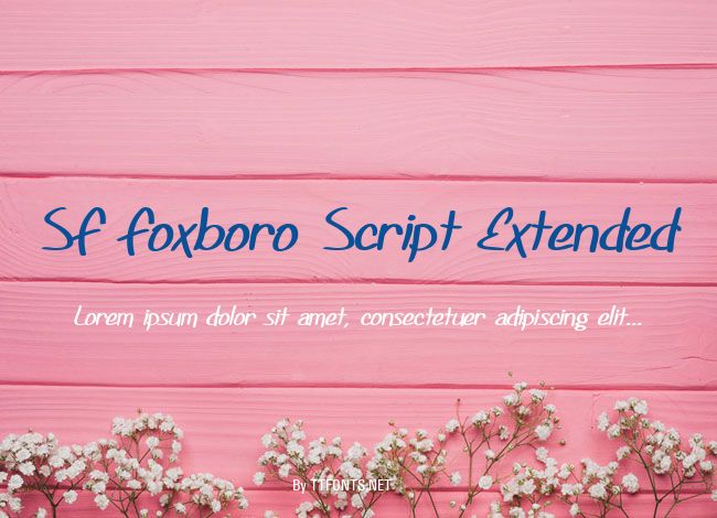SF Foxboro Script Extended example